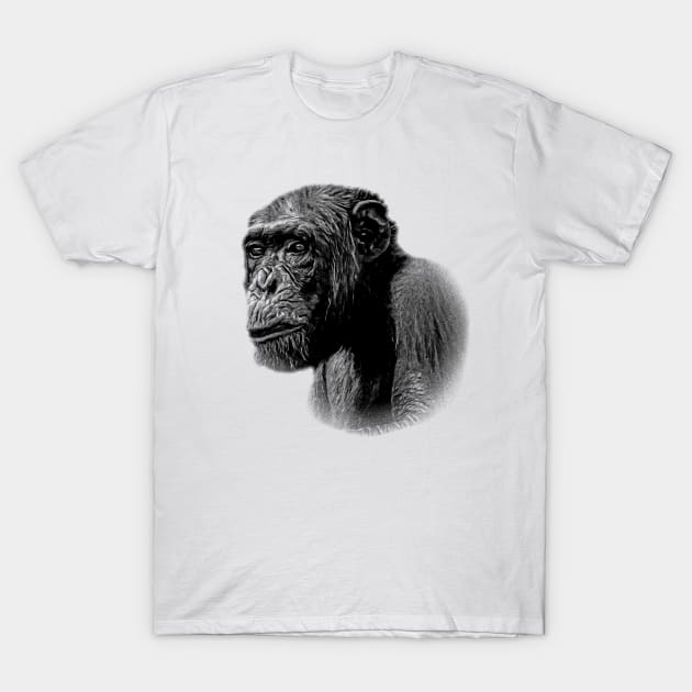 Chimpanzee T-Shirt by Guardi